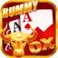 rummy taim