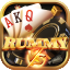 rummy goid icon