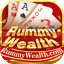 neta rummy icon